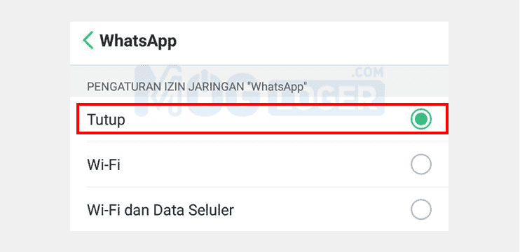 pengaturan jaringan whatsapp